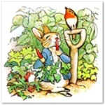 Logo of The Tale Of Peter Rabbit android Application 