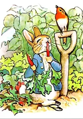 The Tale Of Peter Rabbit android App screenshot 5